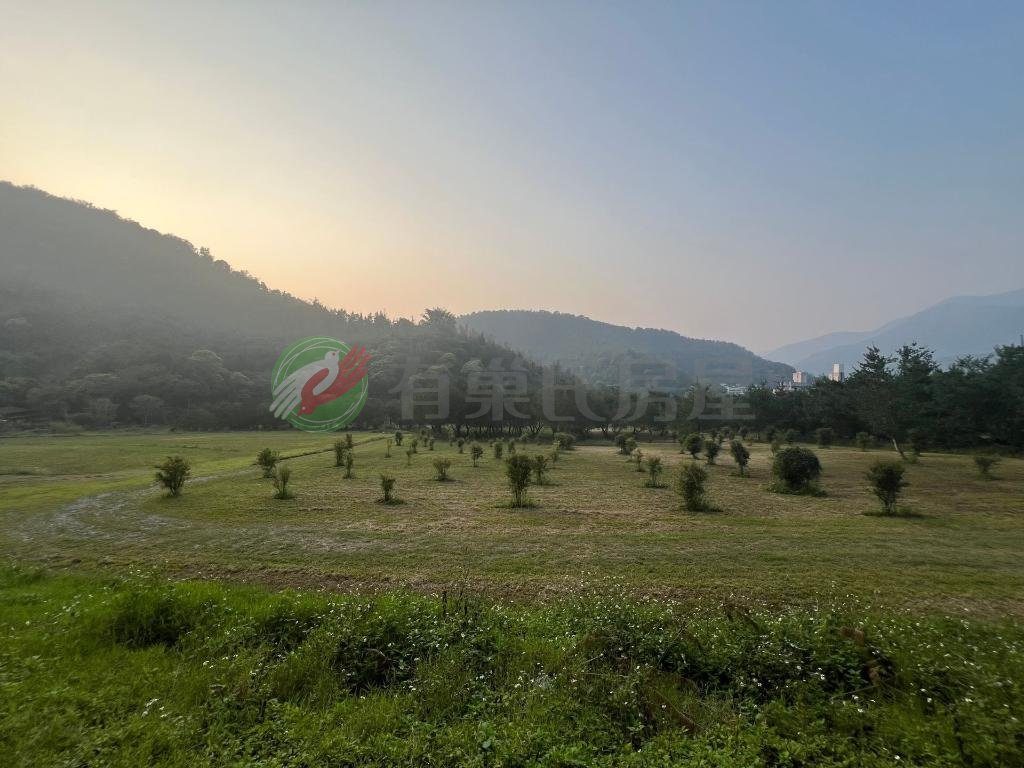 埔里鎮・土地 照片 第 5 張