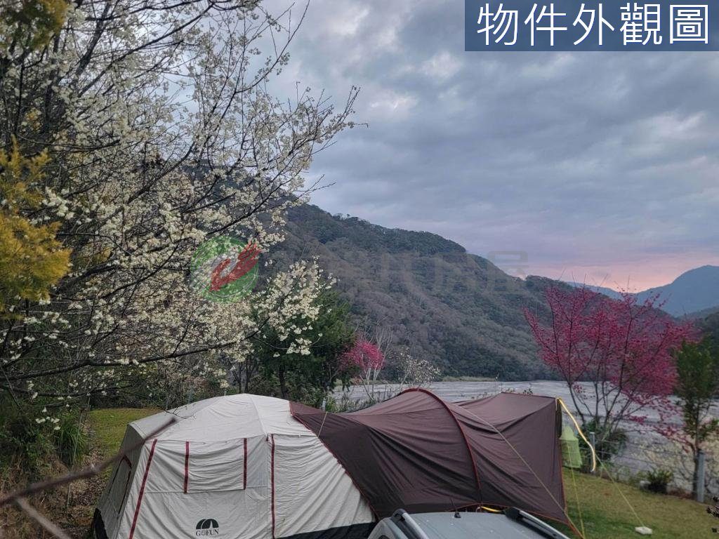 仁愛鄉・土地 照片 第 3 張