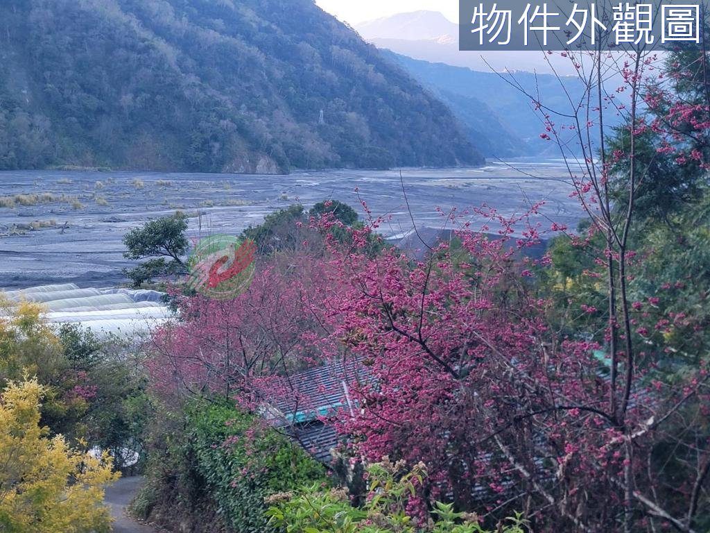 仁愛鄉・土地 照片 第 4 張