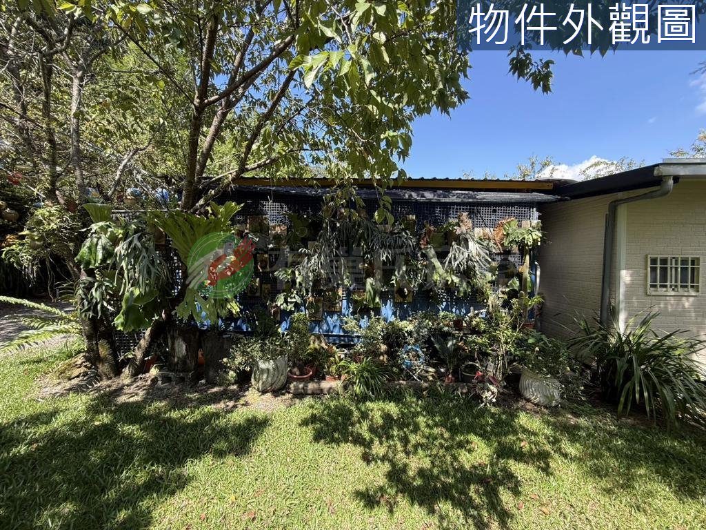仁愛鄉・土地 照片 第 5 張