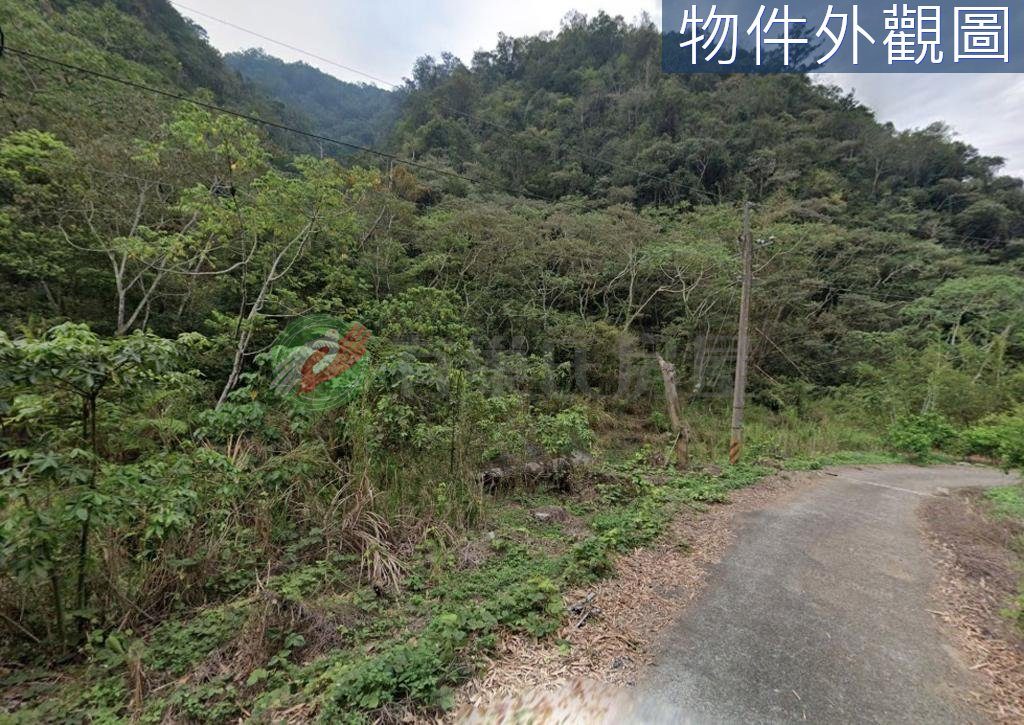 國姓鄉・土地 照片 第 3 張