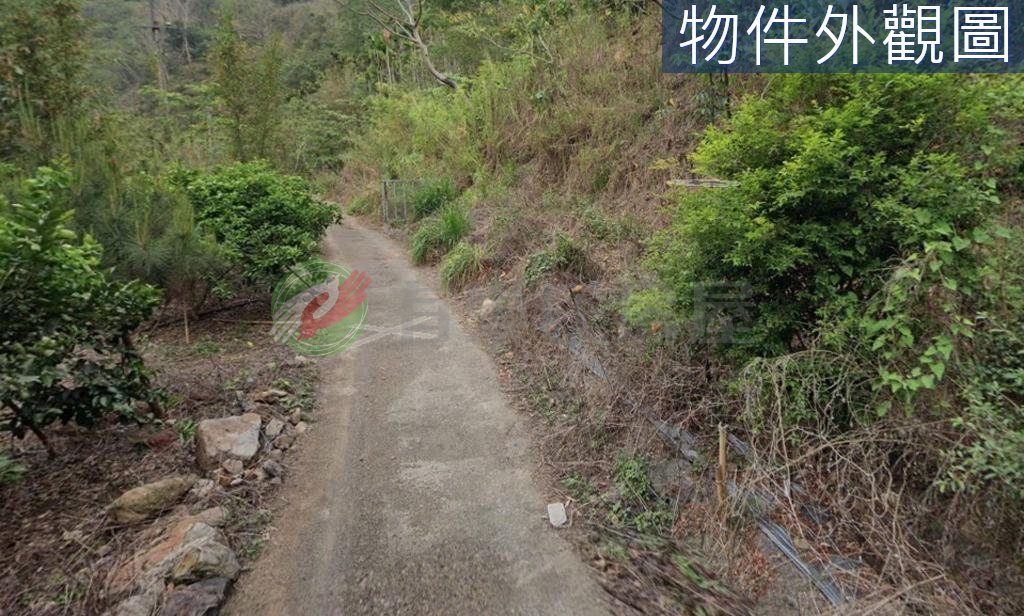 國姓鄉・土地 照片 第 4 張