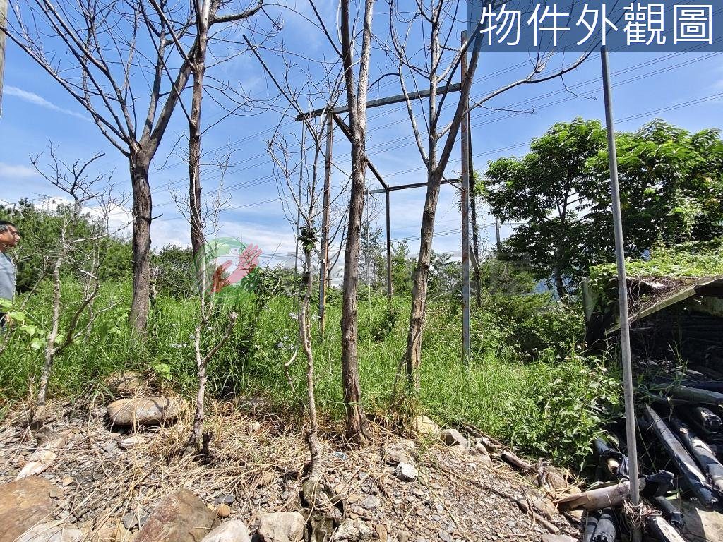 埔里鎮・土地 照片 第 2 張
