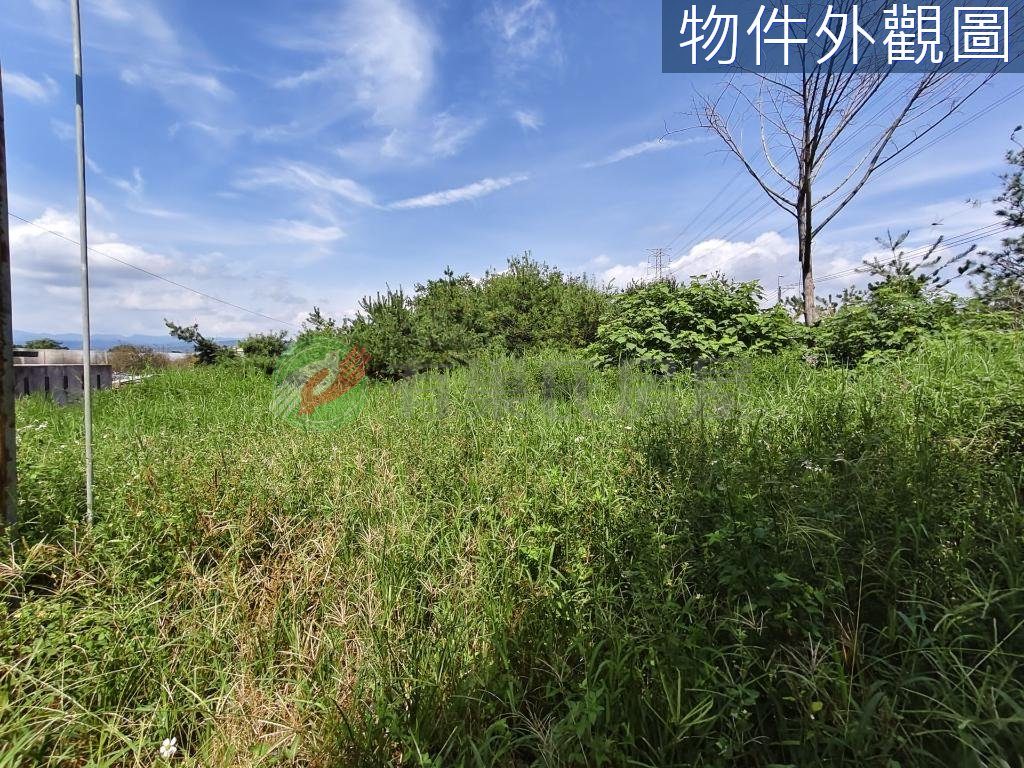 埔里鎮・土地 照片 第 3 張
