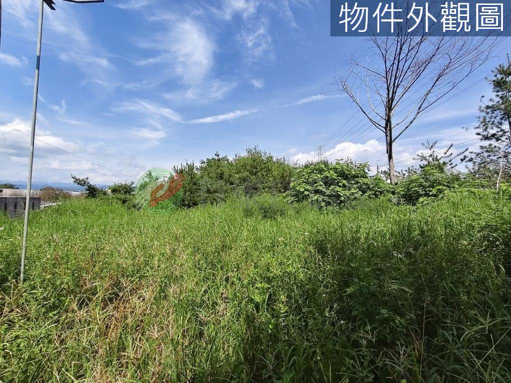 埔里鎮・土地 照片 第 4 張