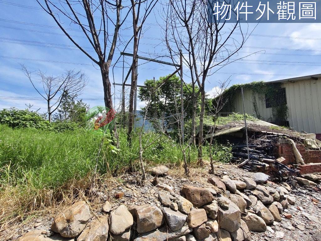 埔里鎮・土地 照片 第 5 張