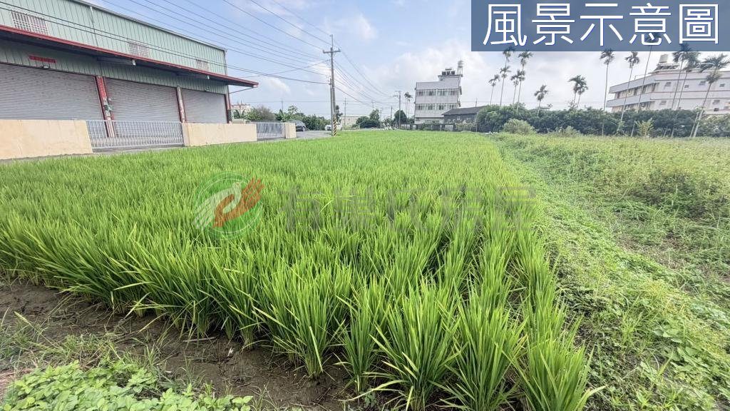 大雅區・土地 照片 第 2 張