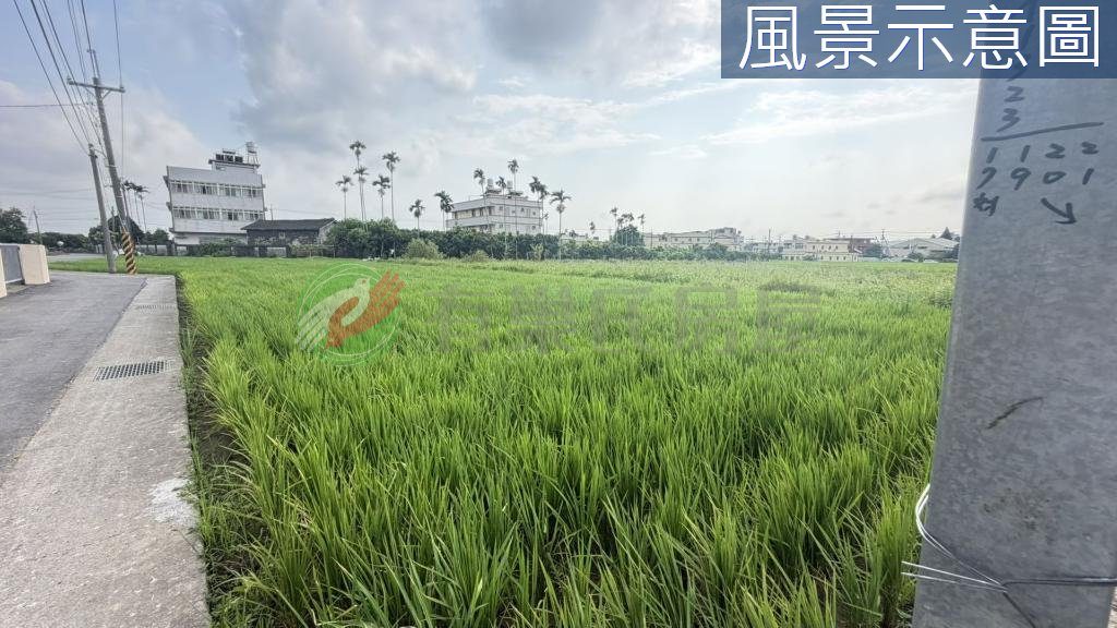 大雅區・土地 照片 第 5 張