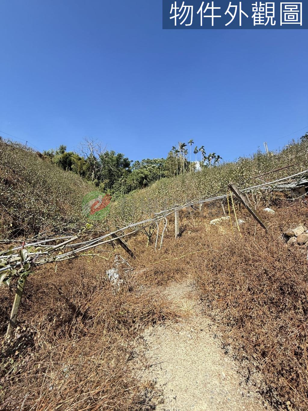 東勢區・土地 照片 第 3 張