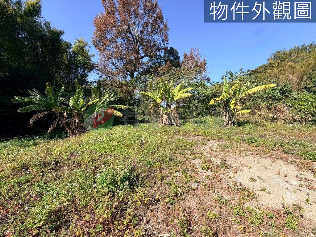 后里區・土地 照片 第 2 張
