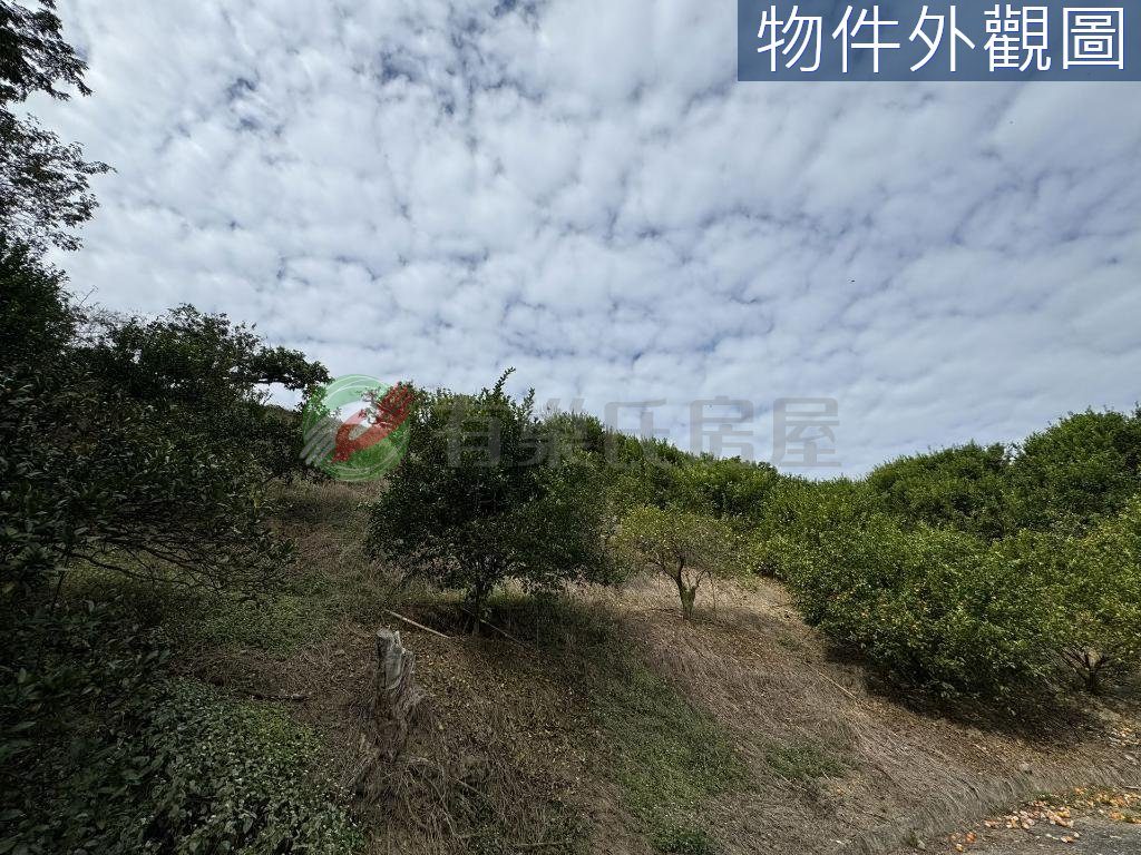 中寮鄉・土地 照片 第 2 張