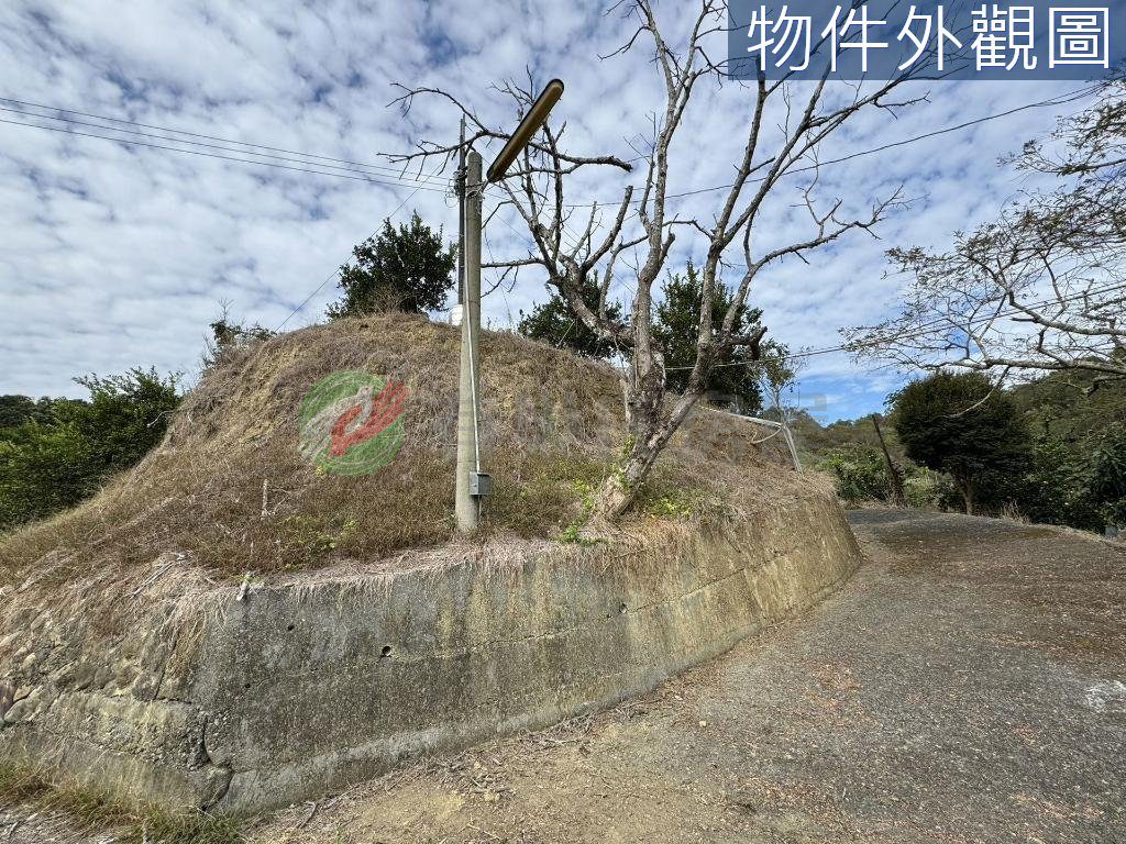 中寮鄉・土地 照片 第 3 張