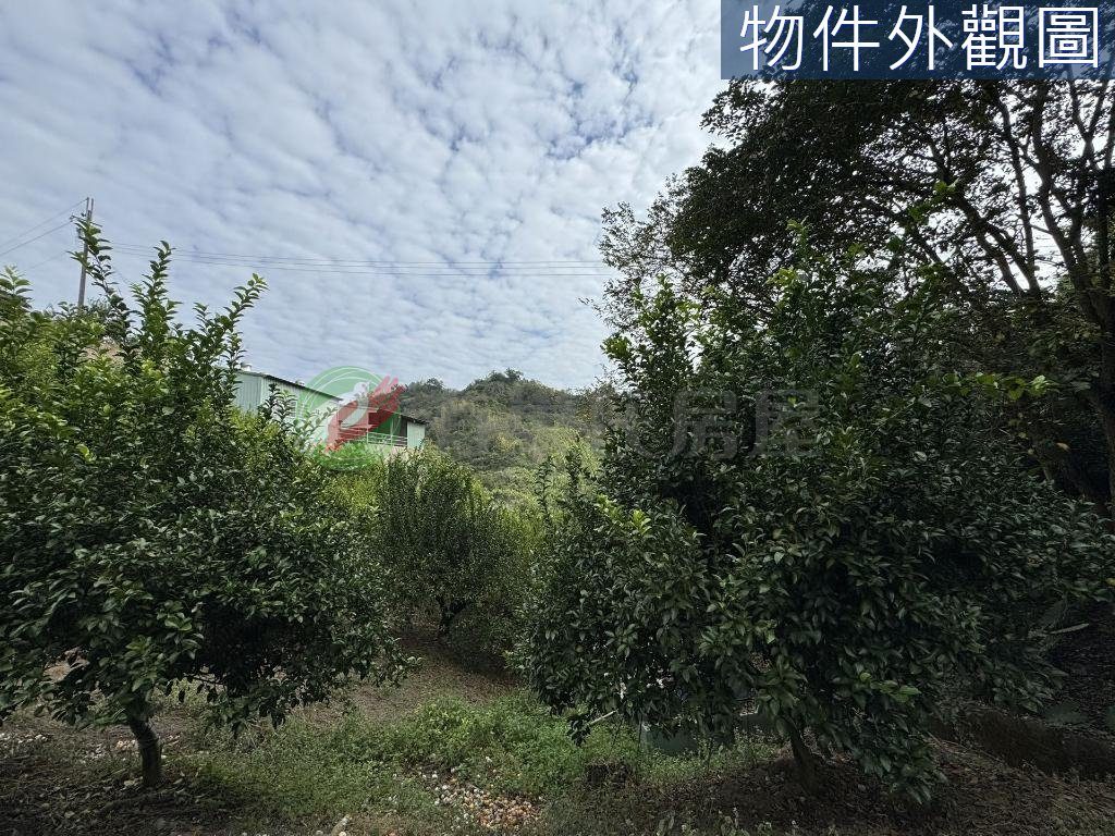 中寮鄉・土地 照片 第 4 張