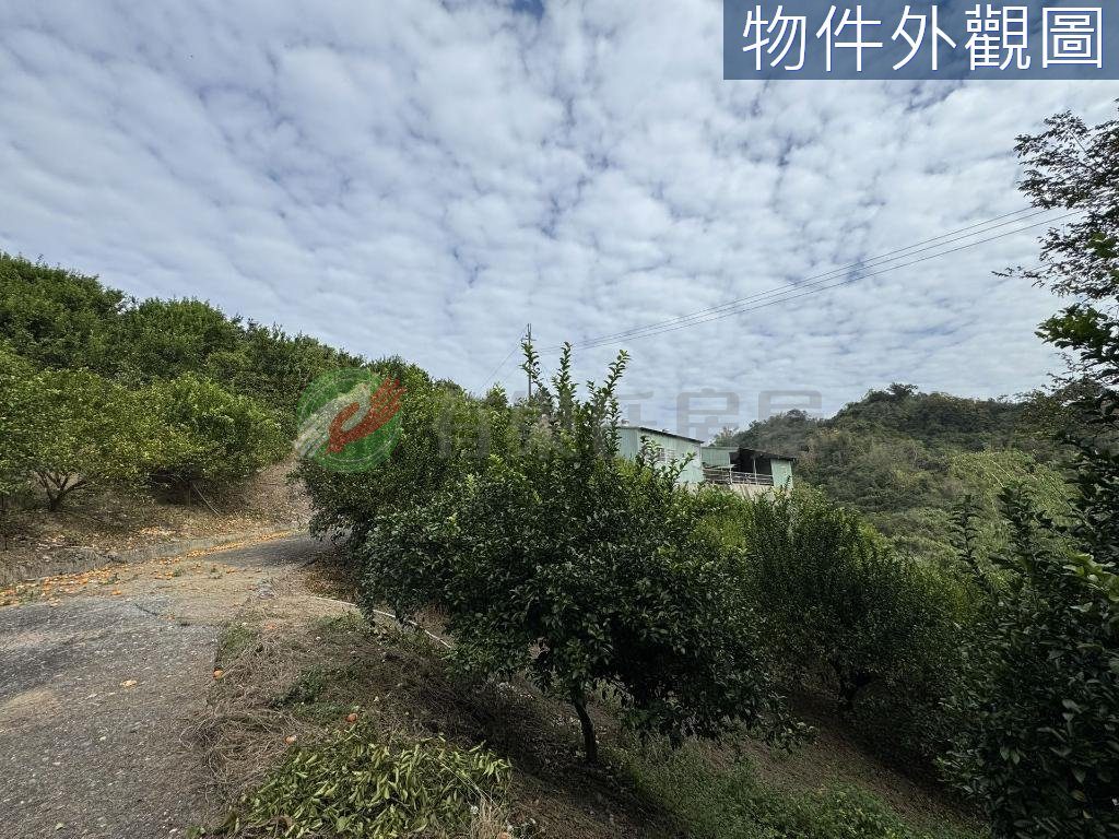 中寮鄉・土地 照片 第 5 張