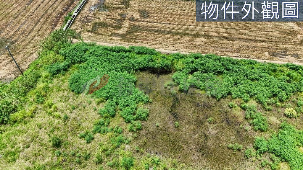 清水區・土地 照片 第 2 張