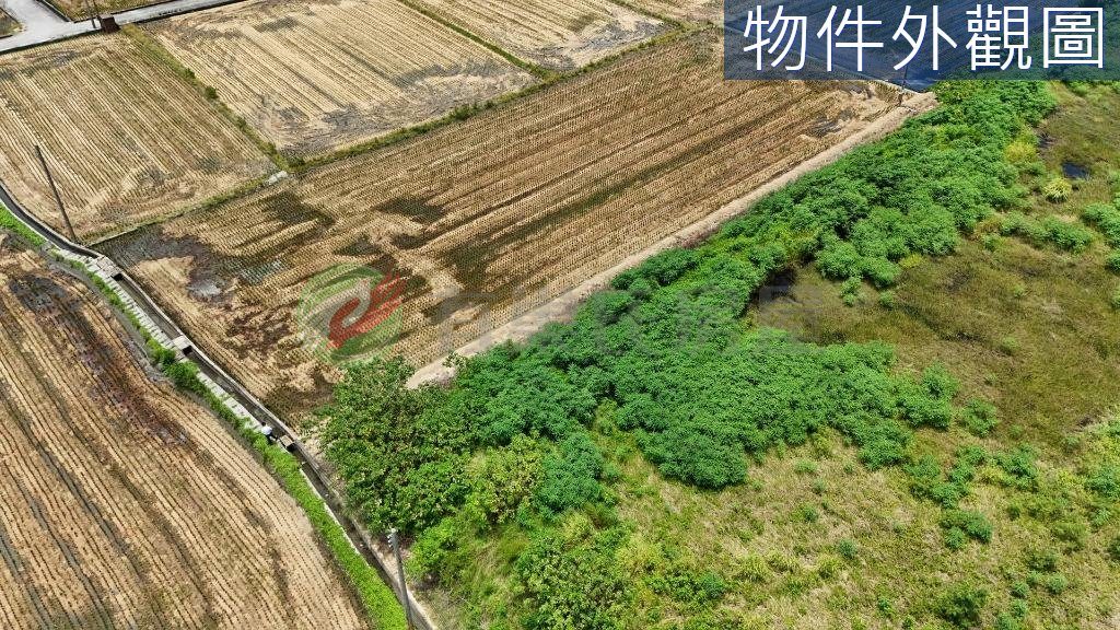 清水區・土地 照片 第 4 張