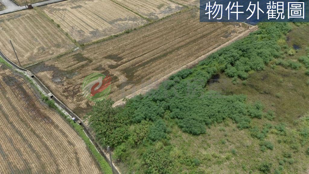 清水區・土地 照片 第 5 張