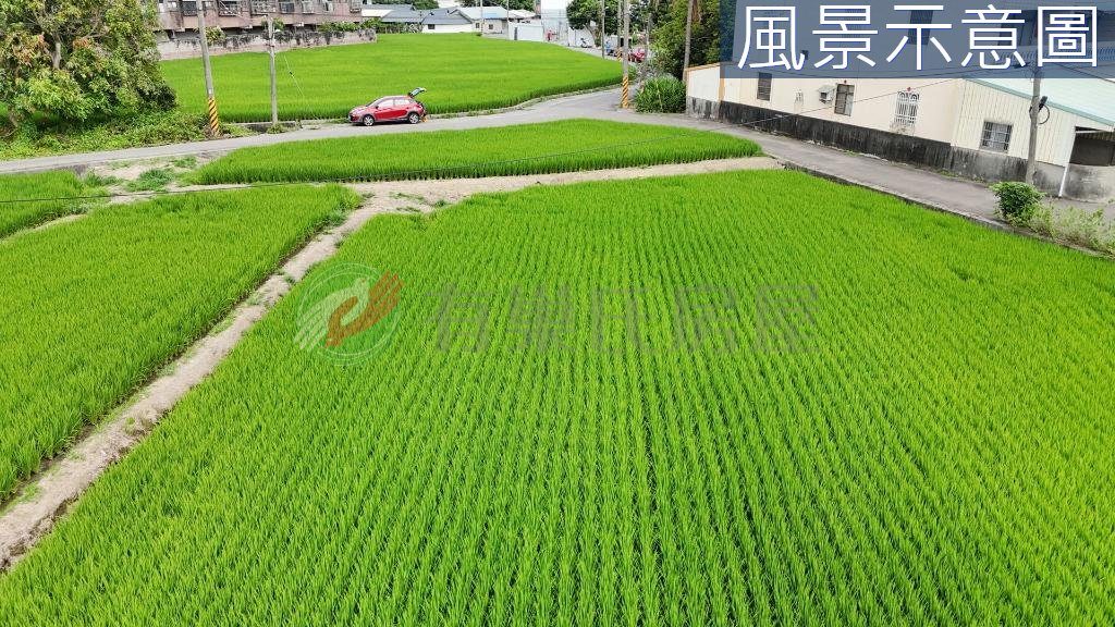大里區・土地 照片 第 3 張