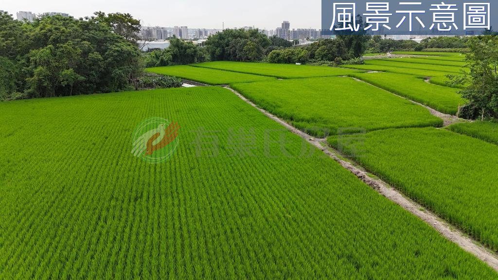 大里區・土地 照片 第 4 張