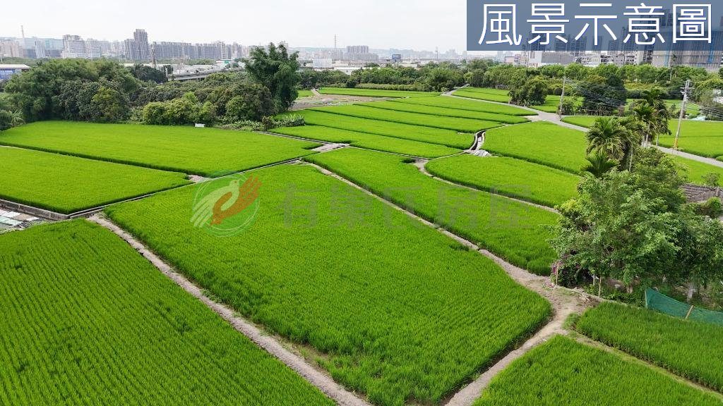 大里區・土地 照片 第 5 張