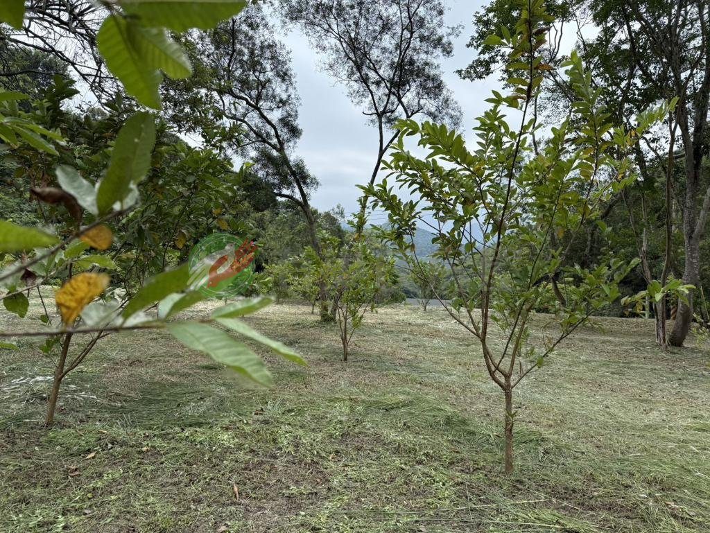 銅鑼鄉・土地 照片 第 2 張