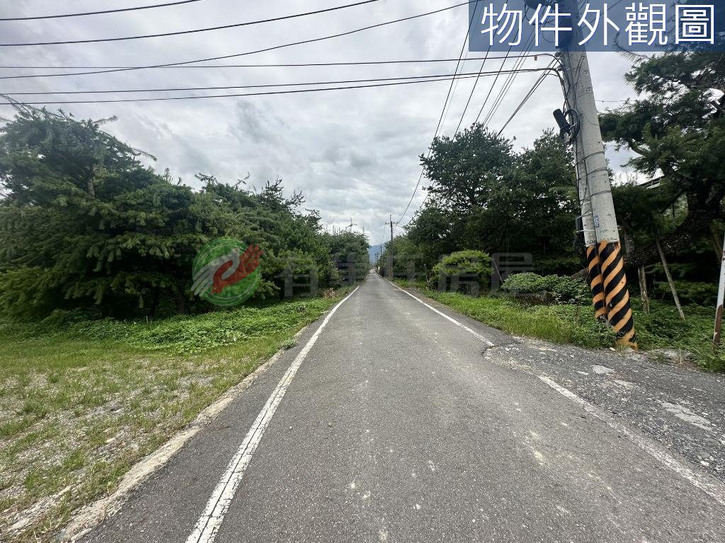 埔里鎮・土地 照片 第 3 張
