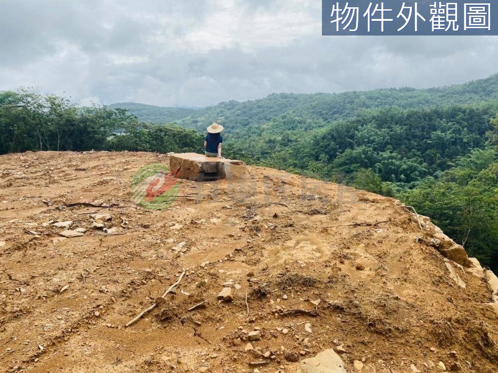 埔里鎮・土地 照片 第 2 張
