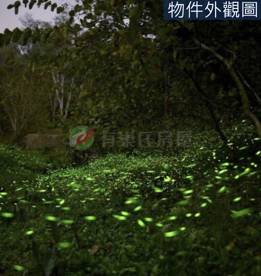 國姓鄉・土地 照片 第 3 張
