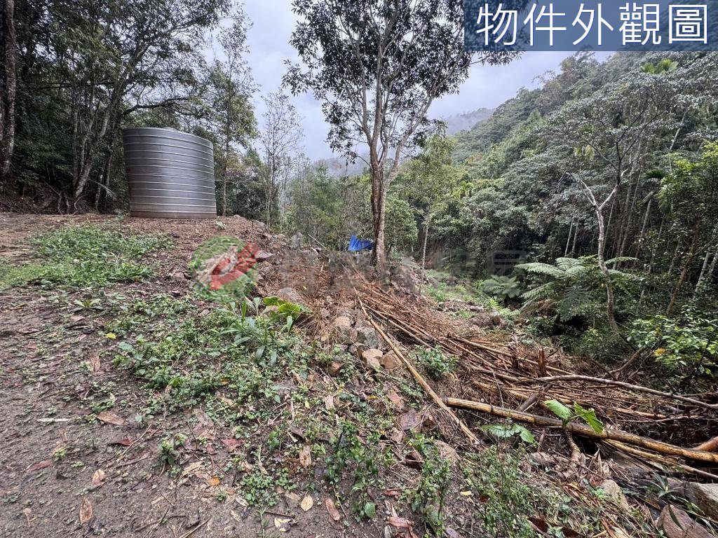 國姓鄉・土地 照片 第 2 張