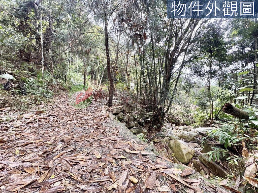 國姓鄉・土地 照片 第 3 張