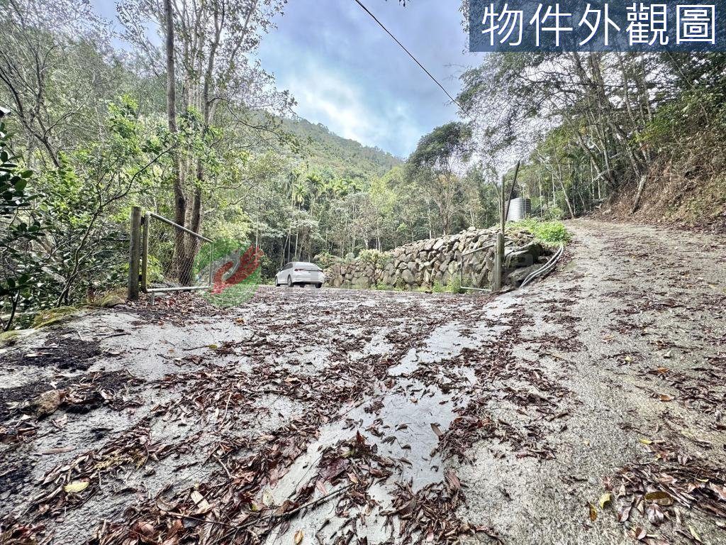 國姓鄉・土地 照片 第 5 張