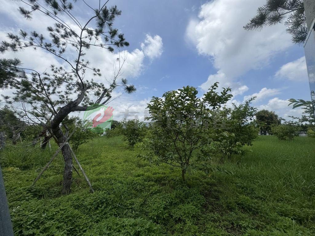卓蘭鎮・土地 照片 第 3 張