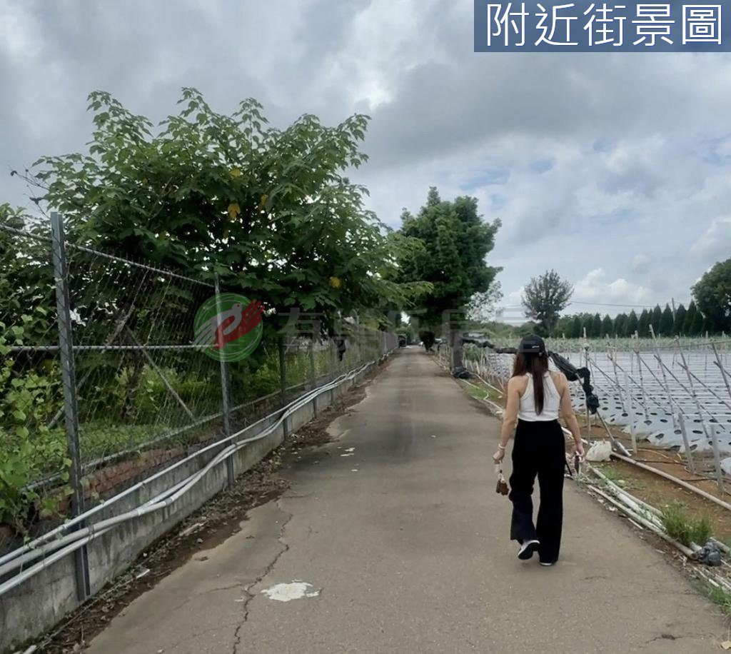卓蘭鎮・土地 照片 第 4 張