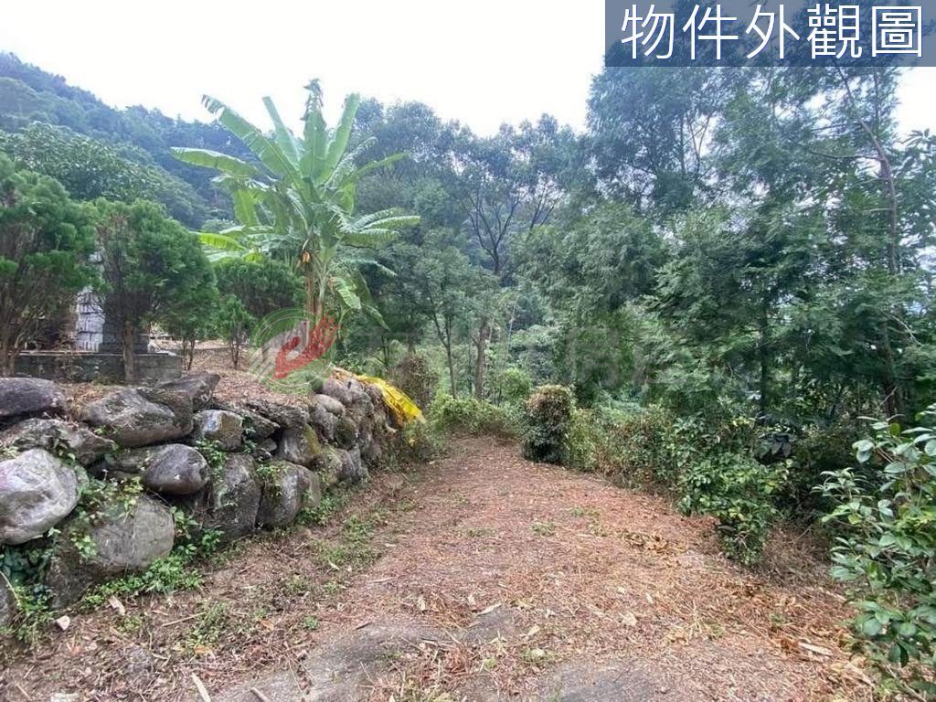 東勢區・土地 照片 第 3 張