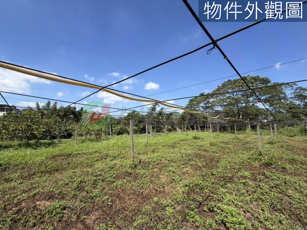 豐原區・土地 照片 第 3 張