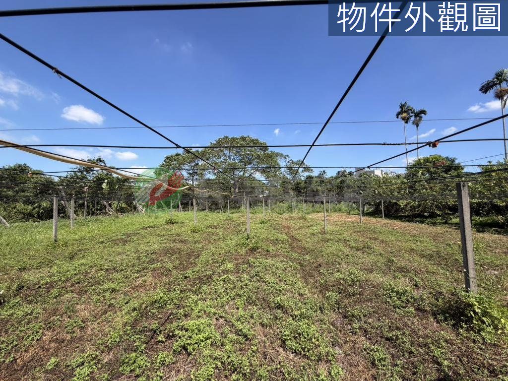 豐原區・土地 照片 第 4 張