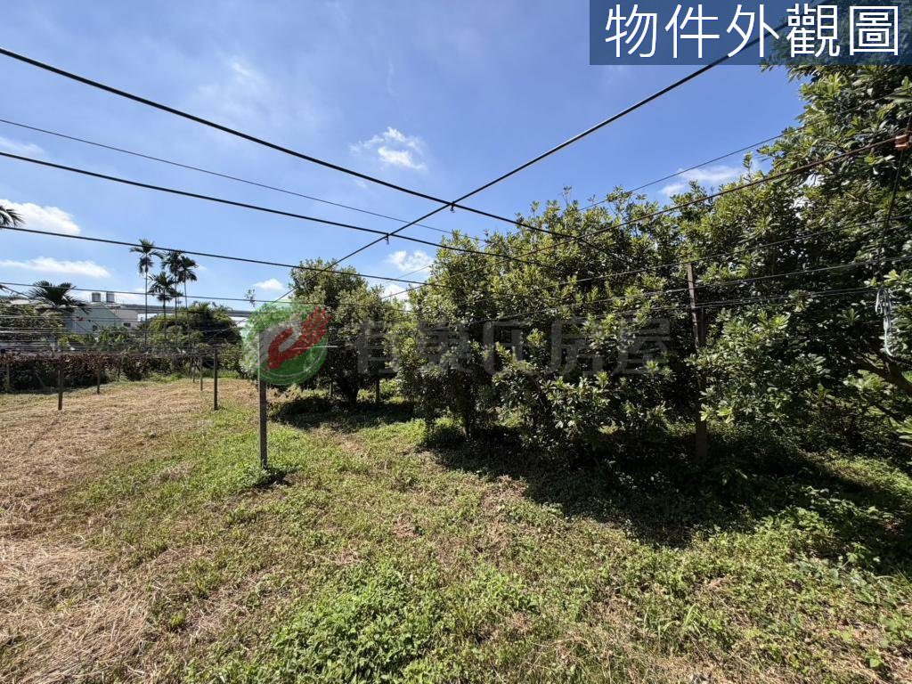 豐原區・土地 照片 第 5 張