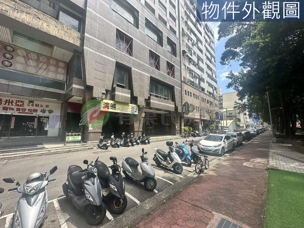 南天王 照片 第 3 張