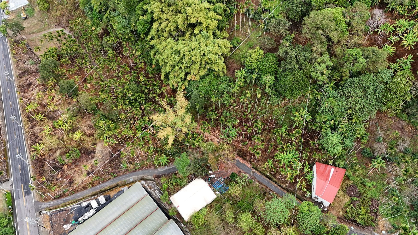 南投區・土地 照片 第 3 張